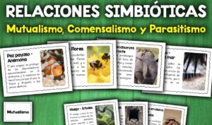 Actividad relaciones simbiotias