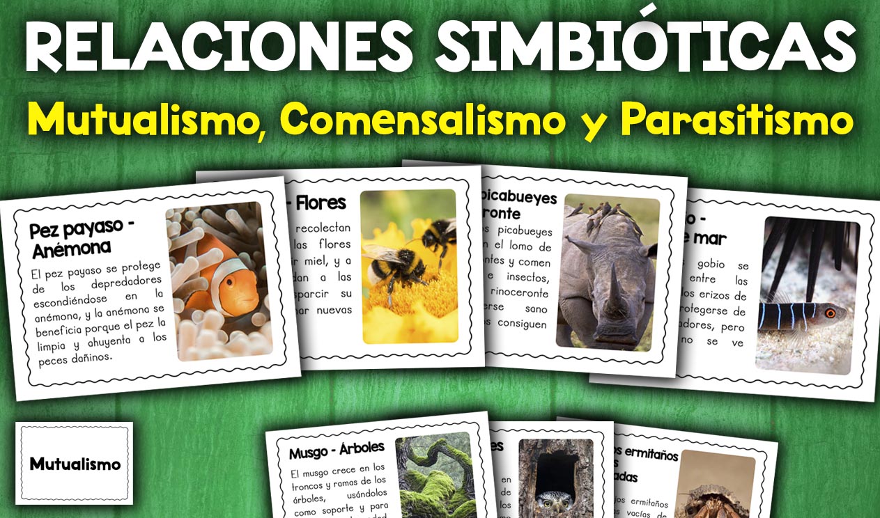 Actividad relaciones simbiotias