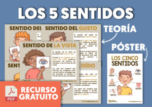 Actividades de los cinco sentidos