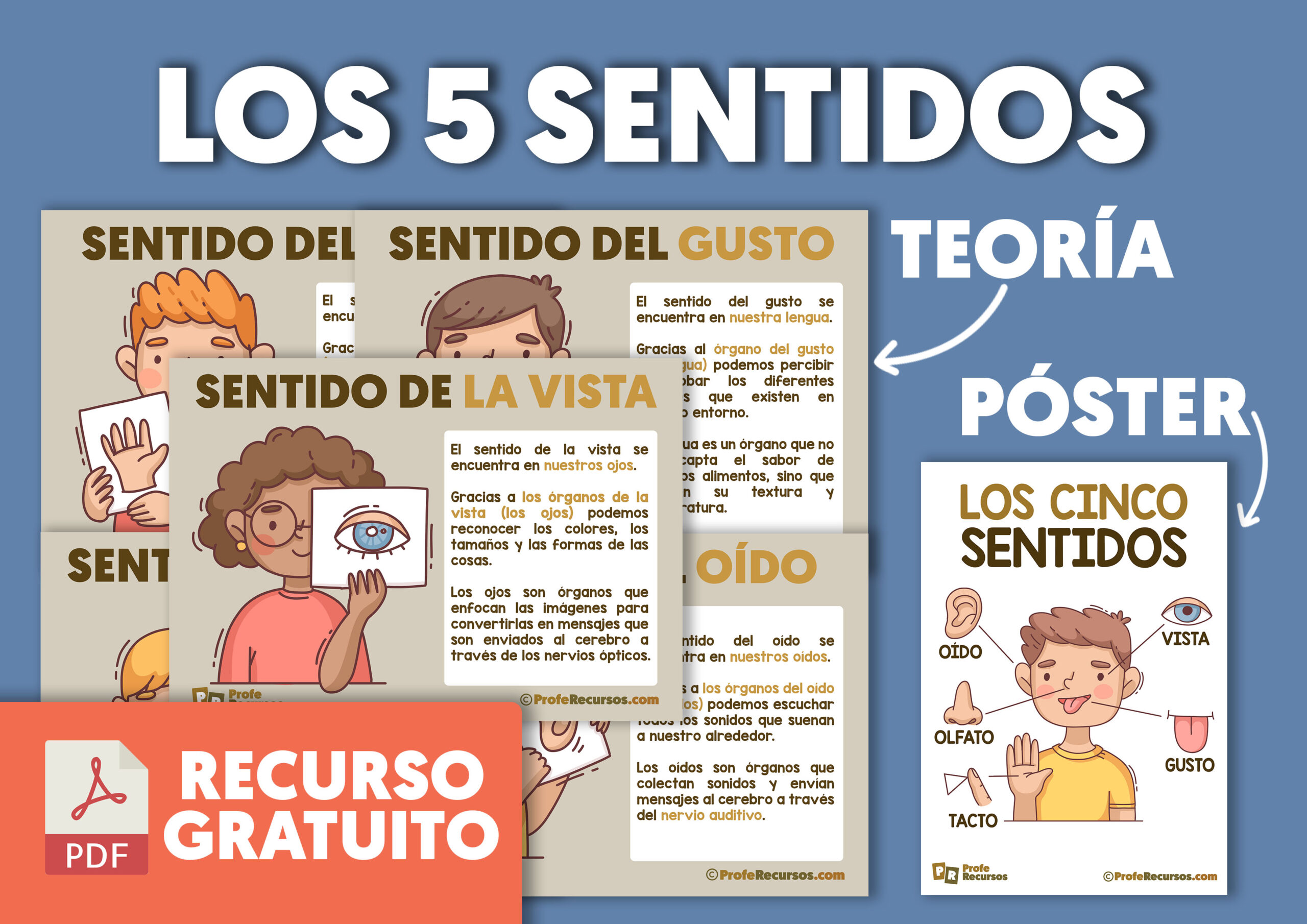 Actividades de los cinco sentidos