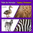 Animales montessori