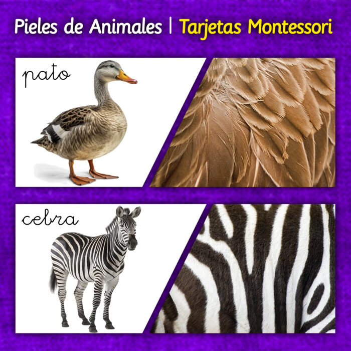 Animales montessori