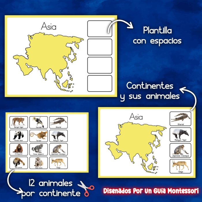 Animales montessori recurso para imprimir