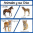 Animales y sus crias montessori