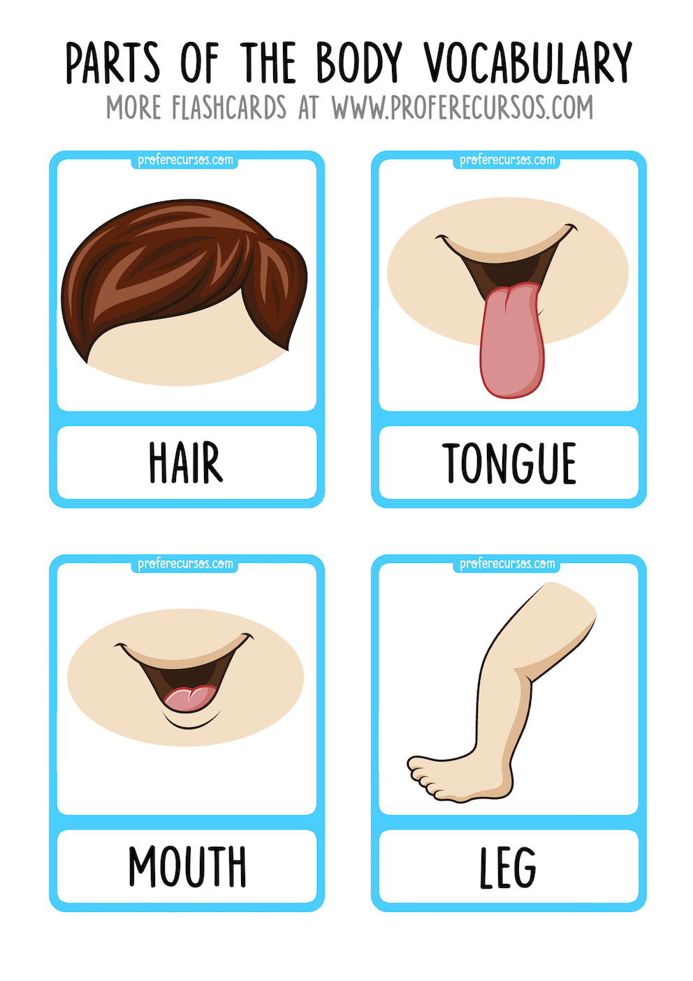 Body Parts Vocabulary