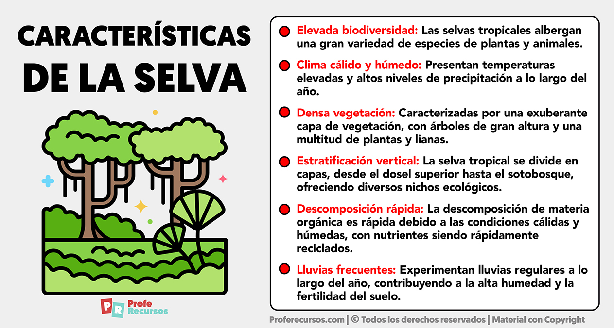 Caracteristicas de la selva