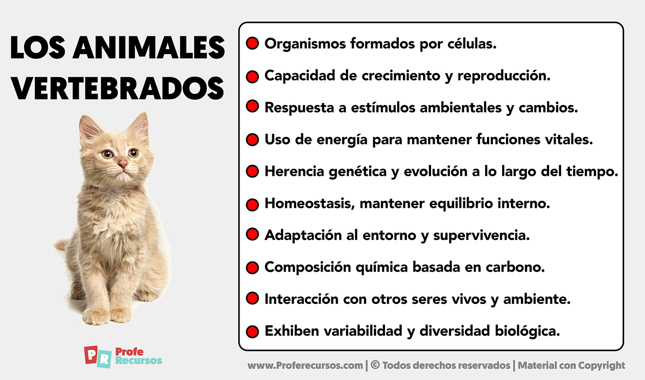 Caracteristicas de los animales vertebrados