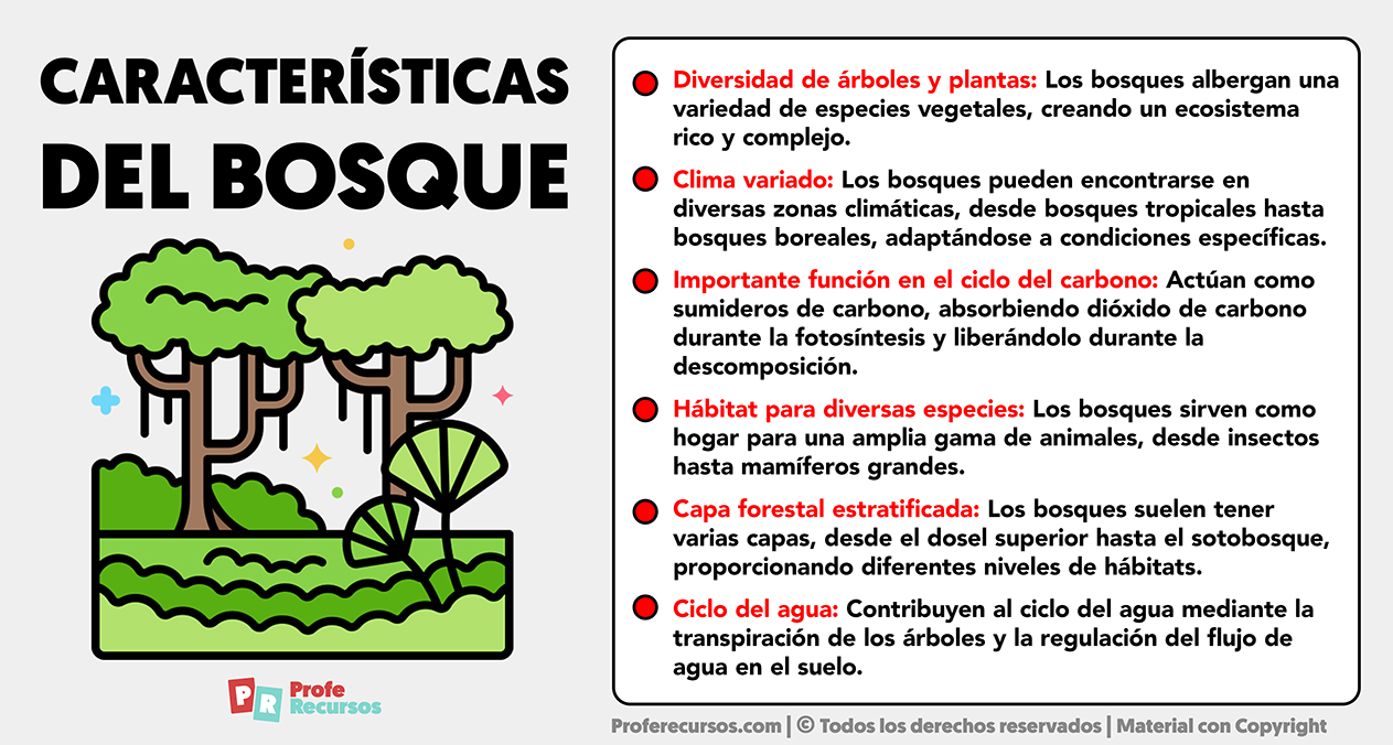 Caracteristicas del bosque