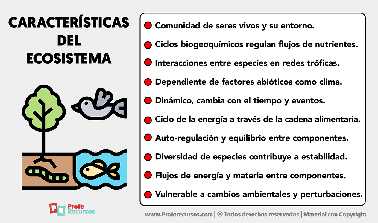 Caracteristicas del ecosistema