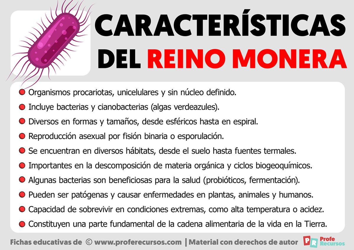 Caracteristicas Del Reino Monera Protista Y Fungi www.proferecursos.com