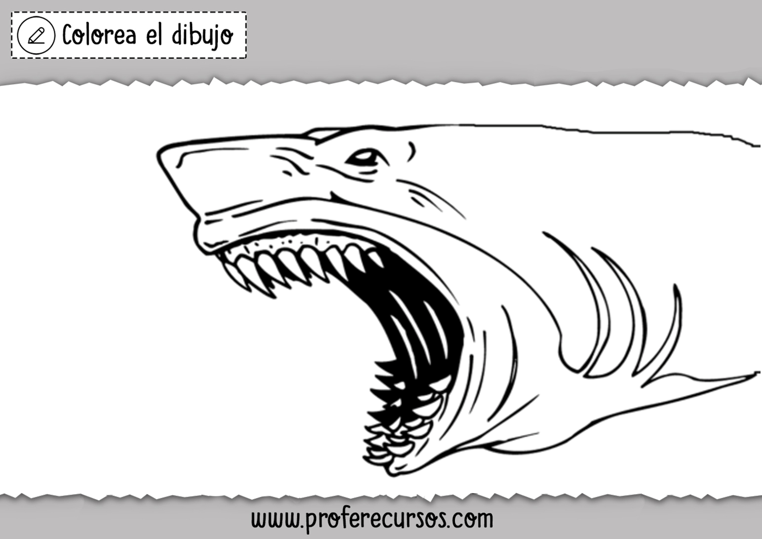 Colorear Tiburones Dibujos