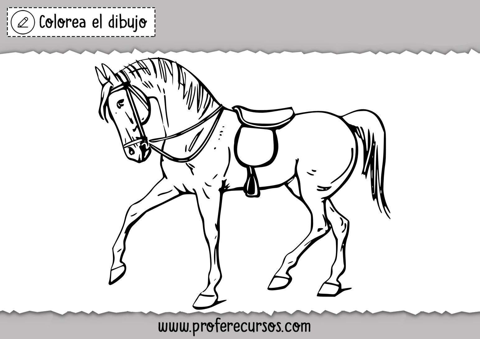 Colorear dibujo de caballo