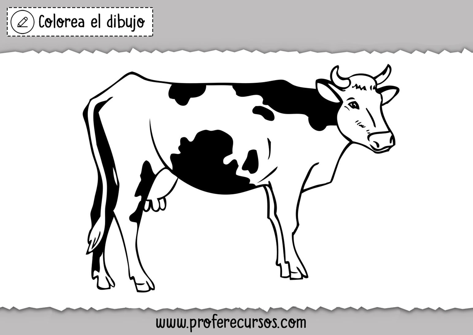 Colorear dibujos de vacas