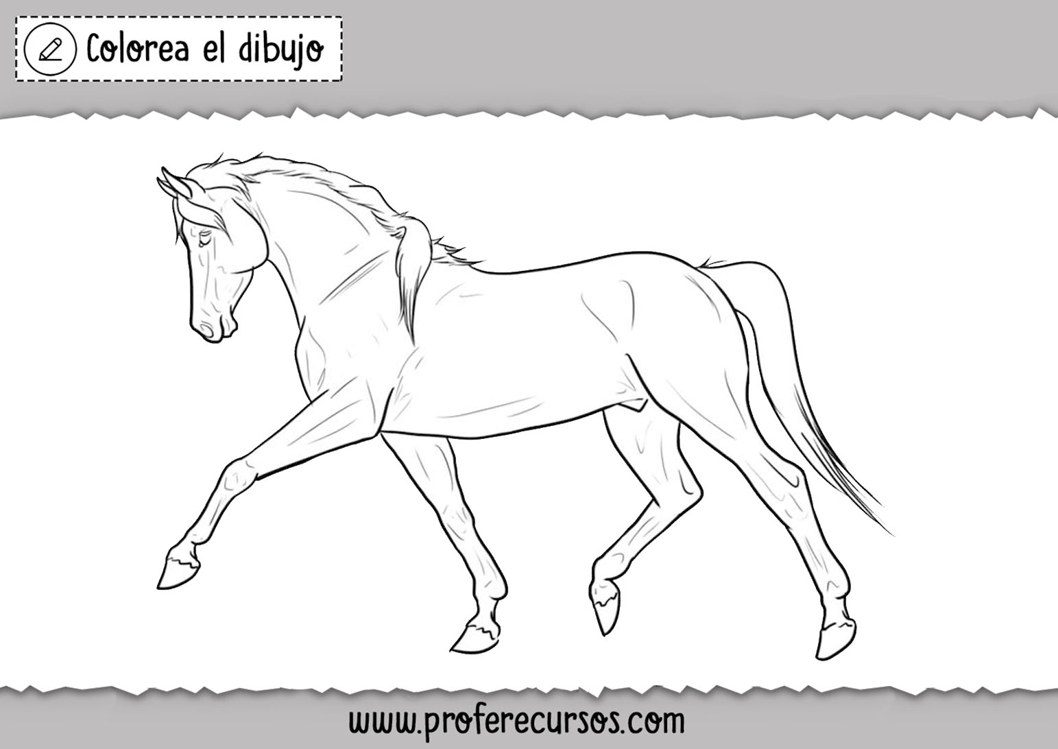 Colorear imagenes de caballos