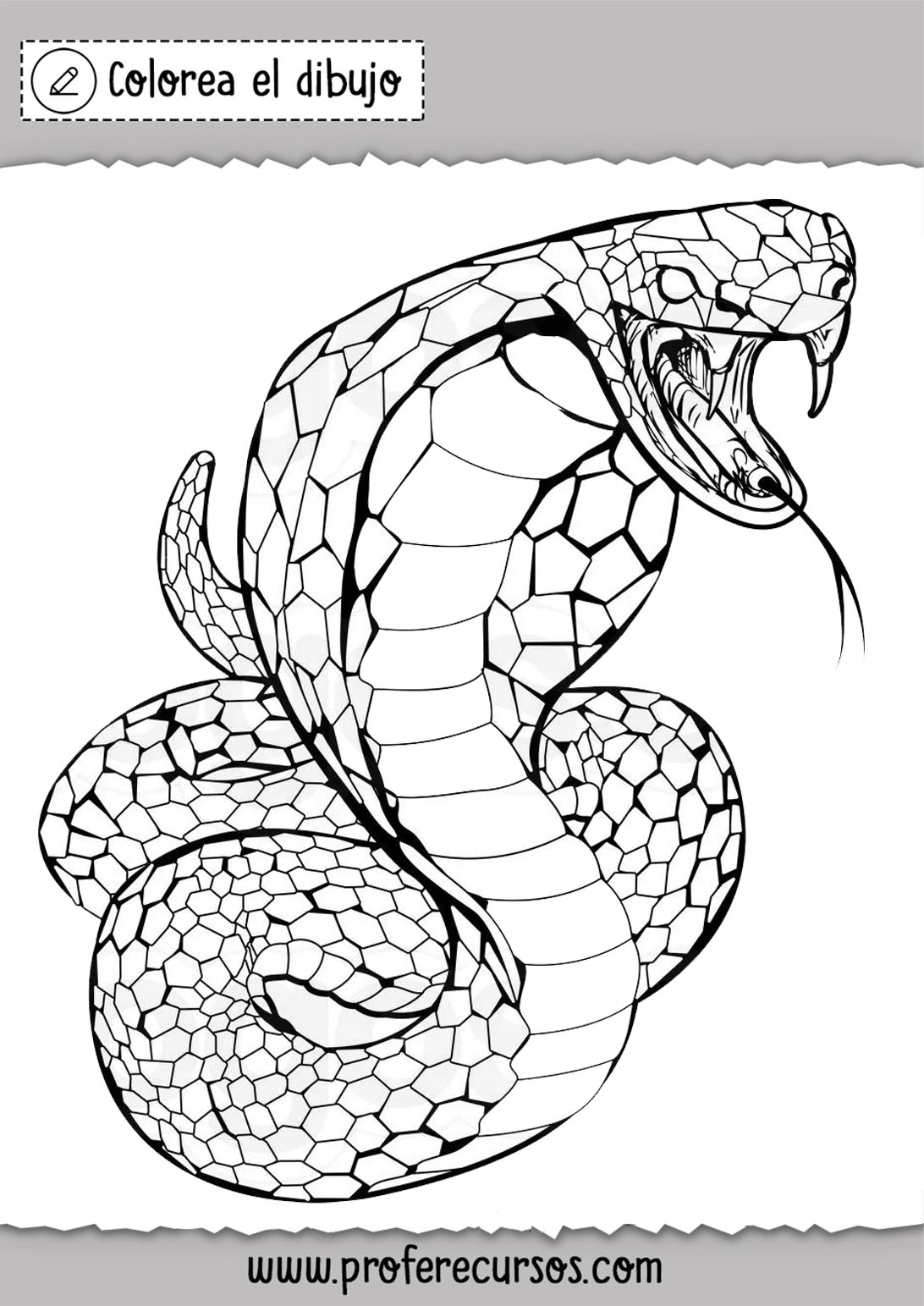 Colorear imagenes de serpientes