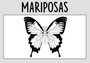 Dibujos de Mariposas para Colorear