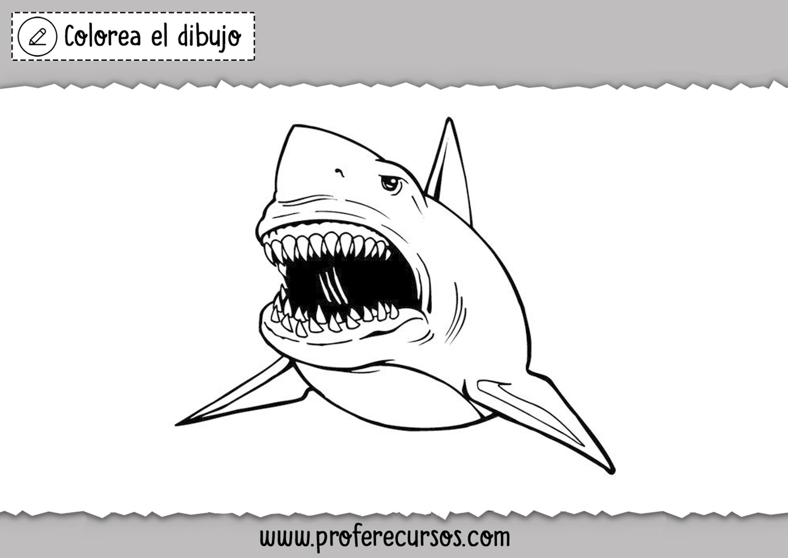 Dibujos de Tiburones para colorear