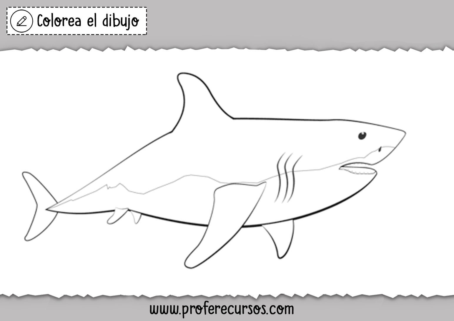 Dibujo Tiburon para Colorear