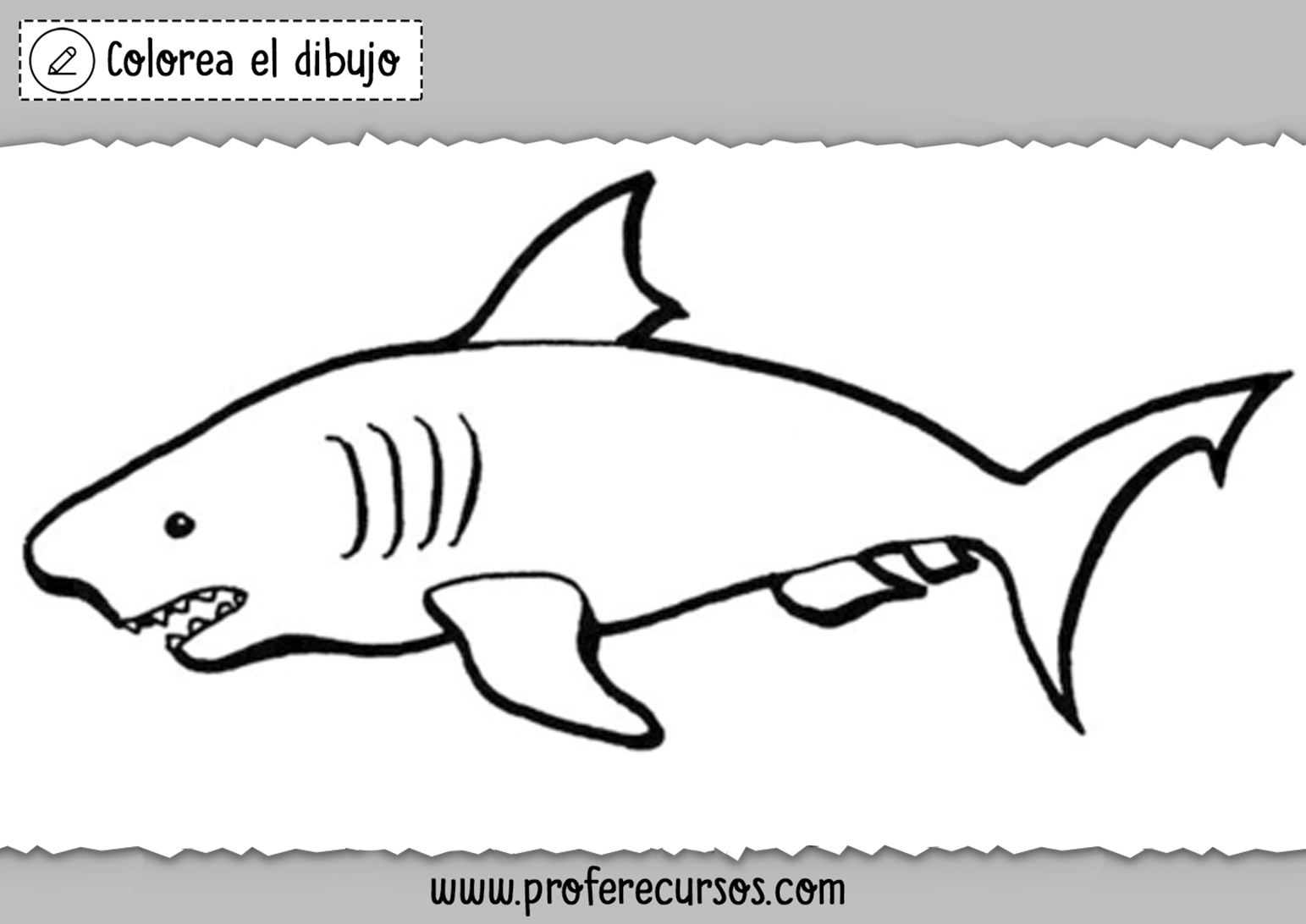 Dibujo Tiburon para Niños