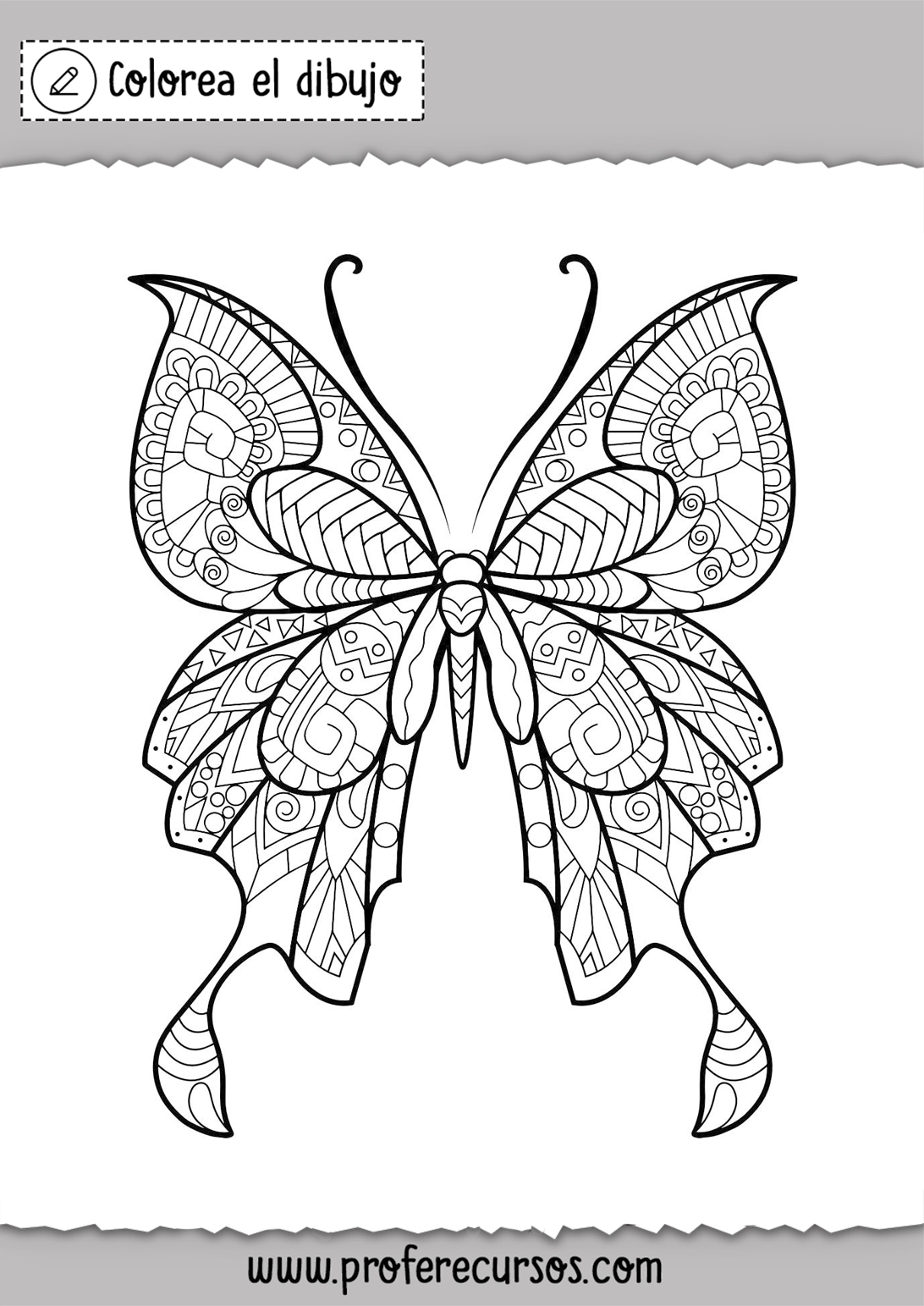 Dibujo de Mariposas para colorear