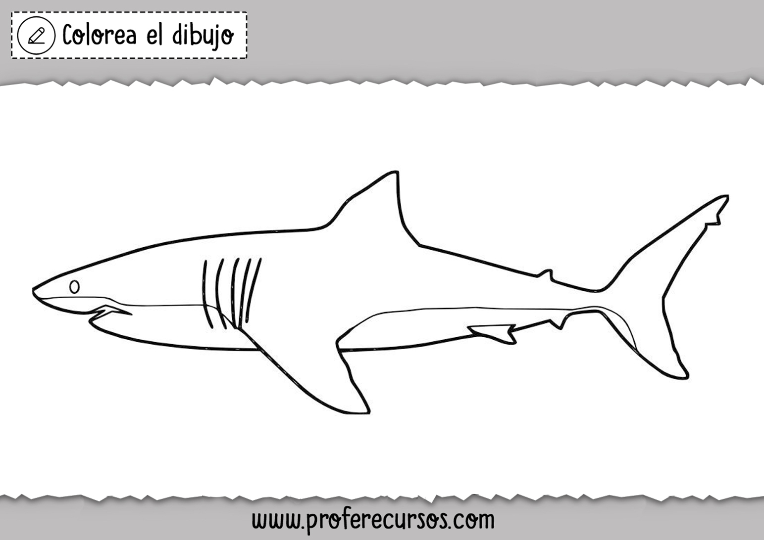 Dibujos de Tiburones para colorear