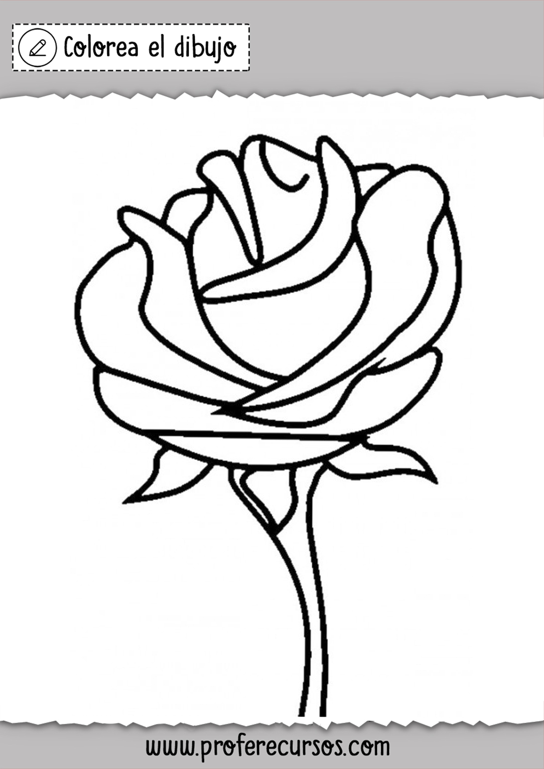 Dibujo de una Rosa para Colorear