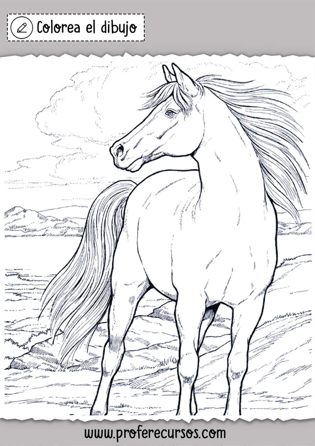 Dibujos caballos colorear