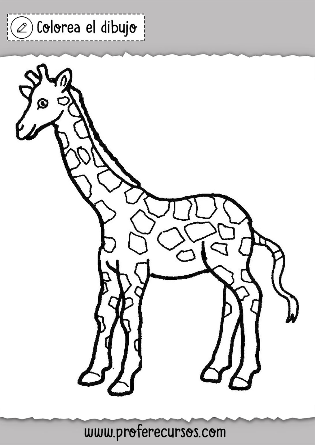 Dibujos jirafas colorear