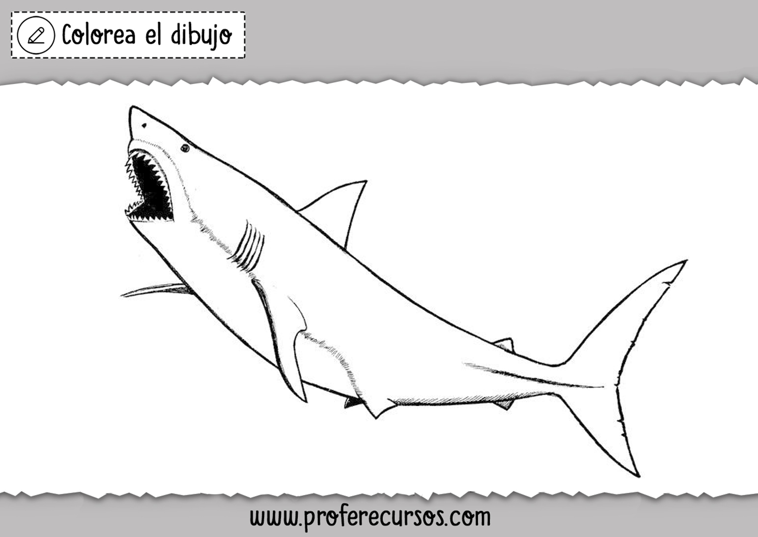 Dibujos Tiburones Colorear