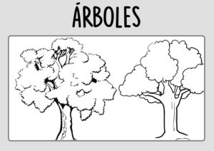 Dibujos-arboles-colorear