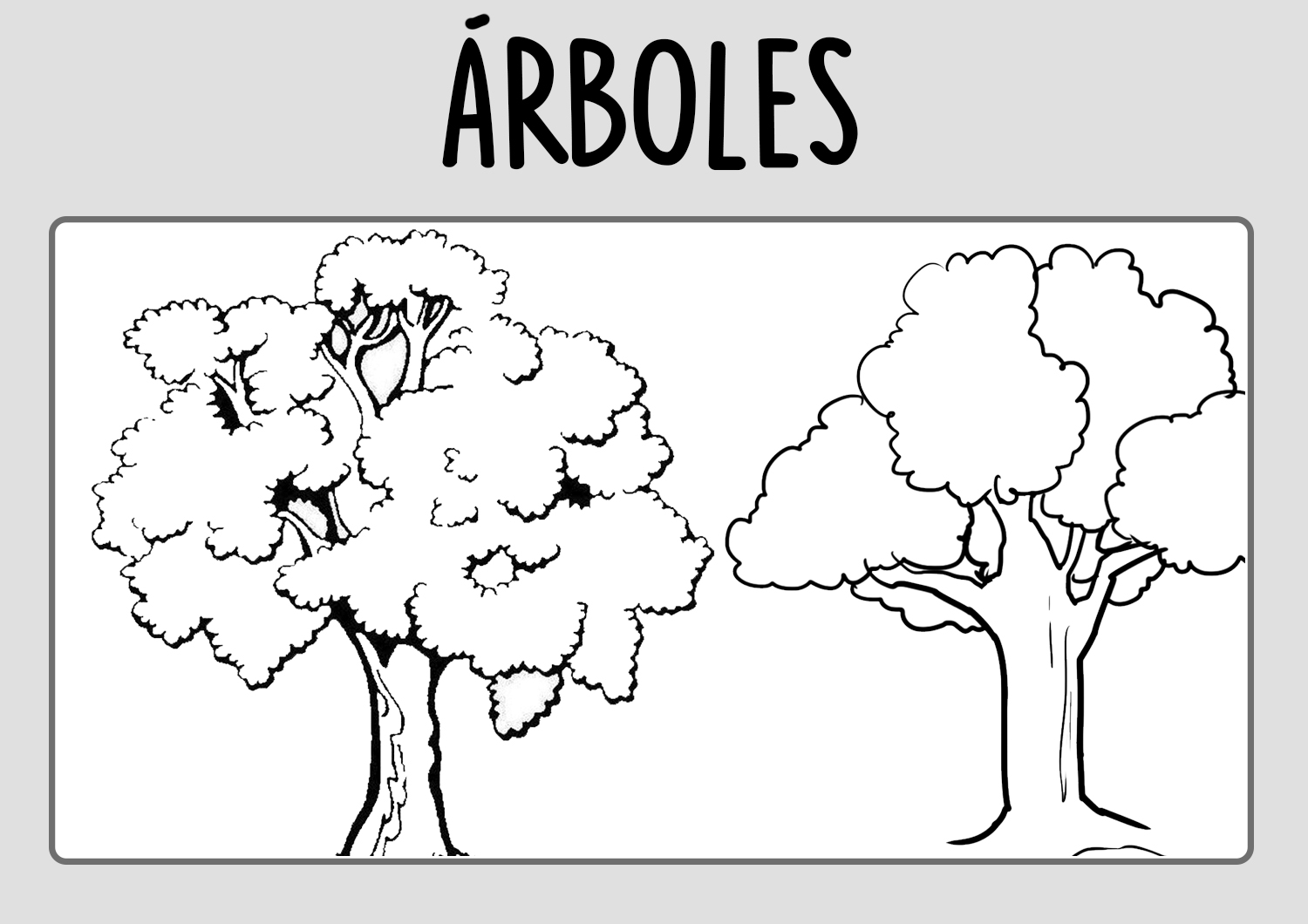 DIBUJOS de ÁRBOLES para Colorear | PACK de Láminas de Árboles
