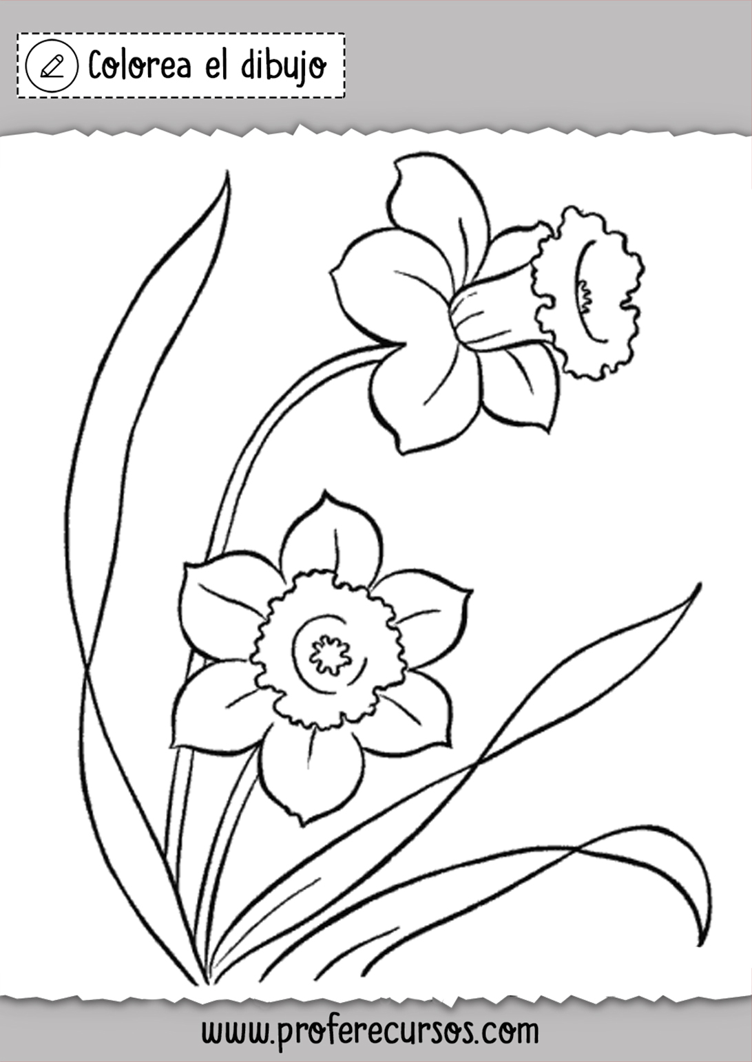 Dibujos de Flores Bonitas para Colorear