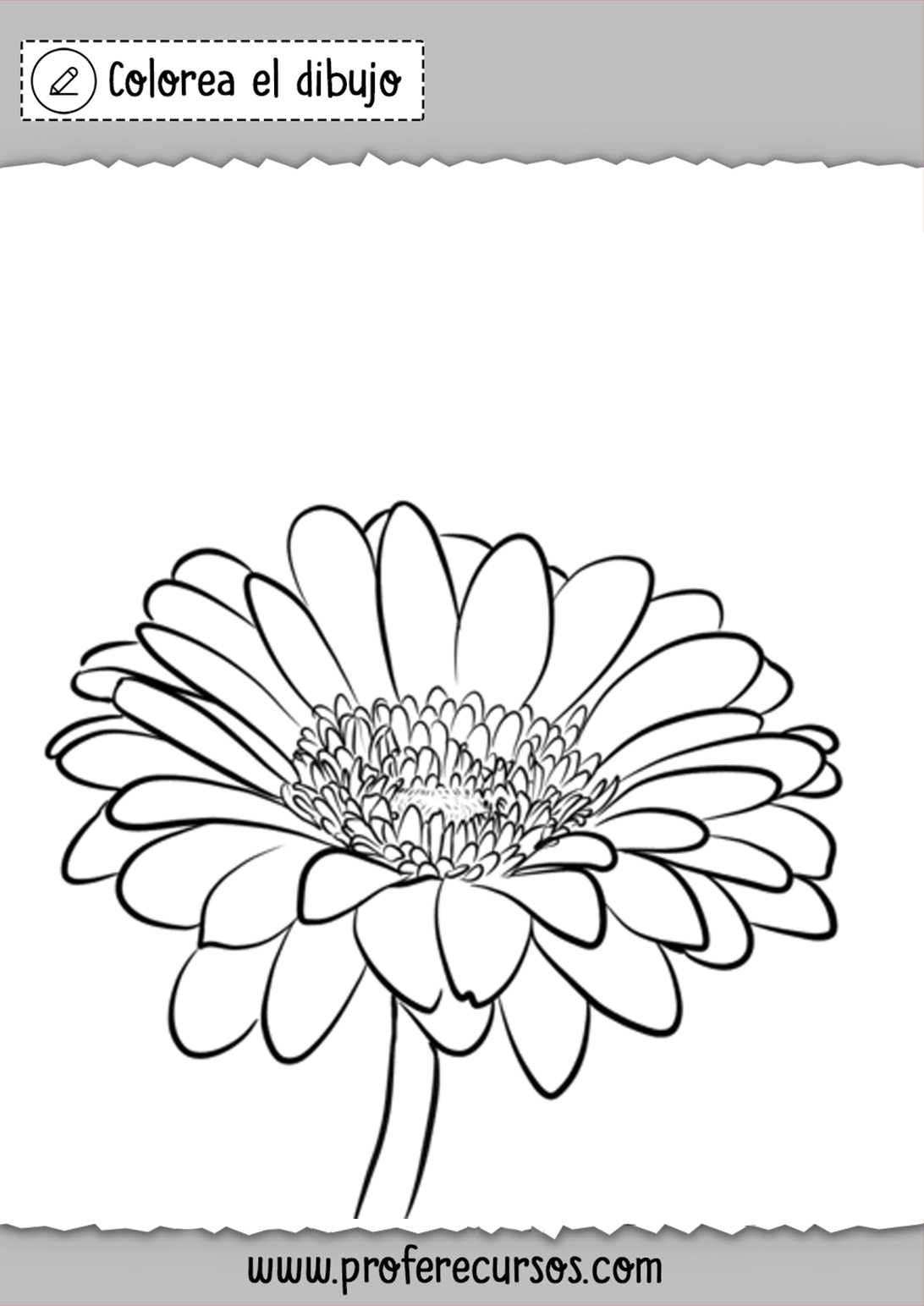 Dibujos de Flores de Colorear