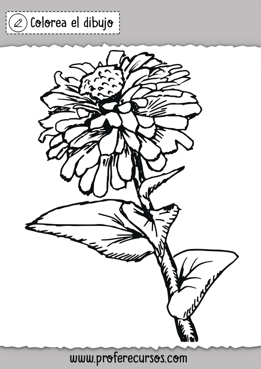 Dibujos de Flores