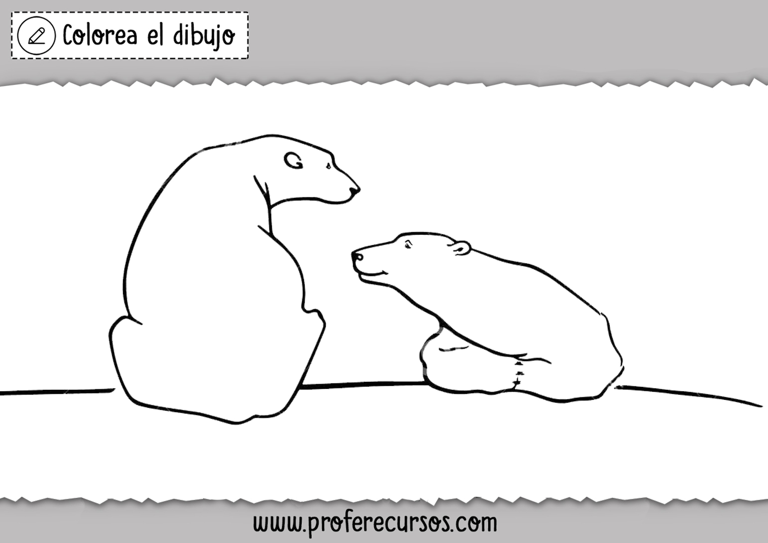 Dibujos de Osos para Colorear y Pintar