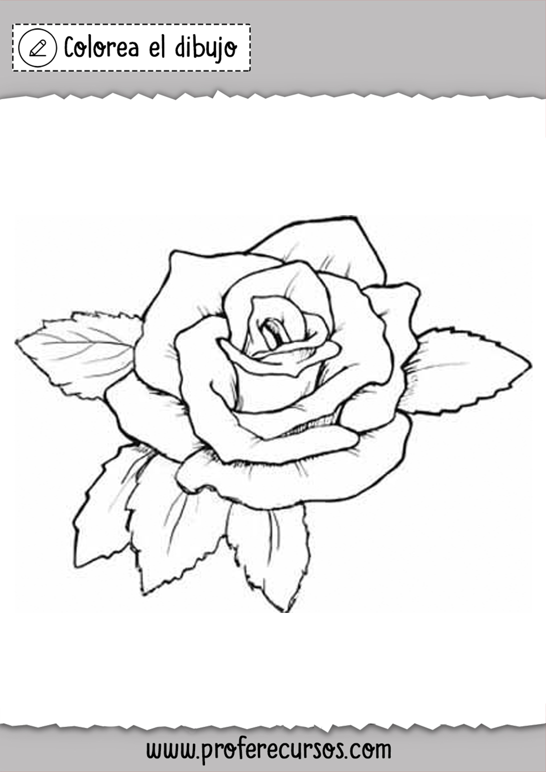 Dibujos de Rosas Lindas