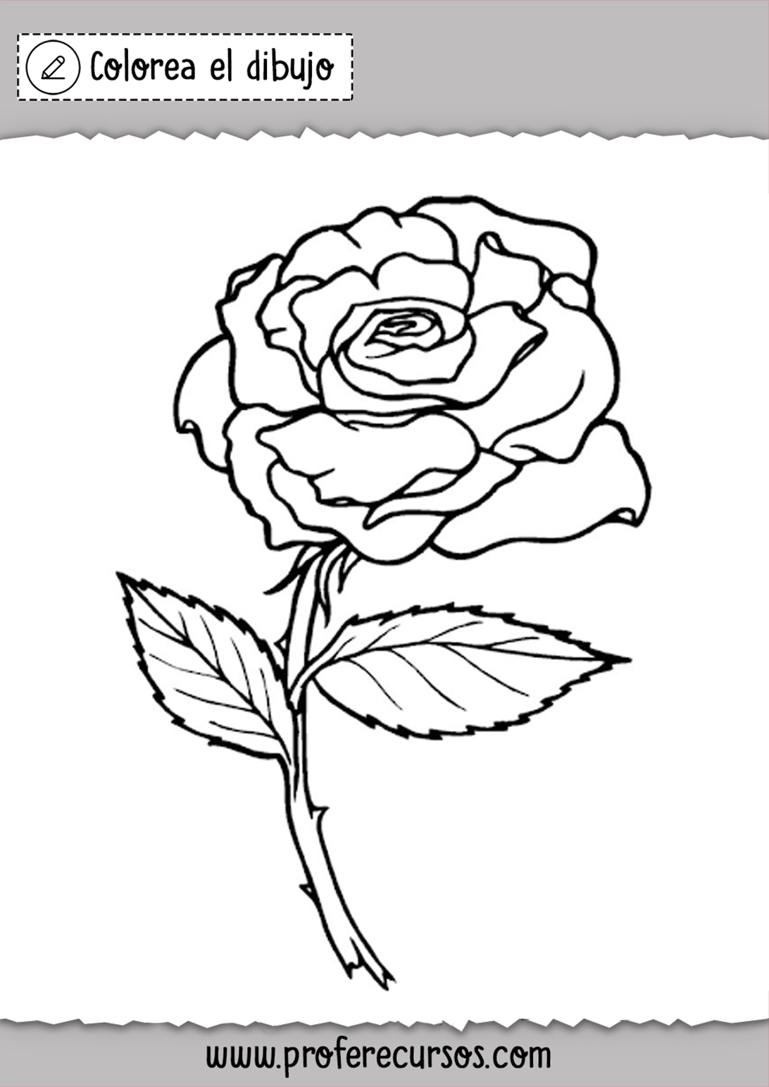 Dibujos de Rosas para Colorear