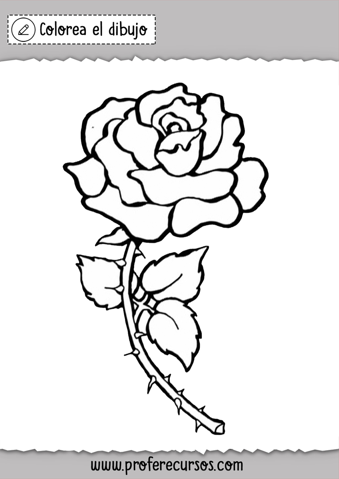 Dibujos de Rosas para Pintar