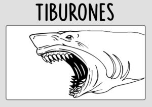 Dibujos de Tiburones Miniatura