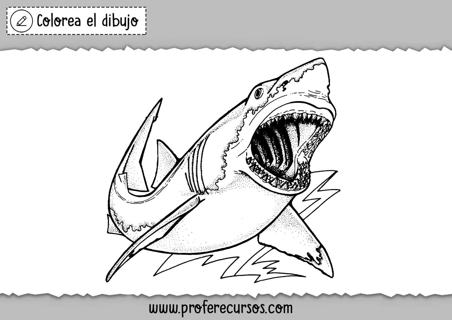 Dibujos de Tiburones para Pintar
