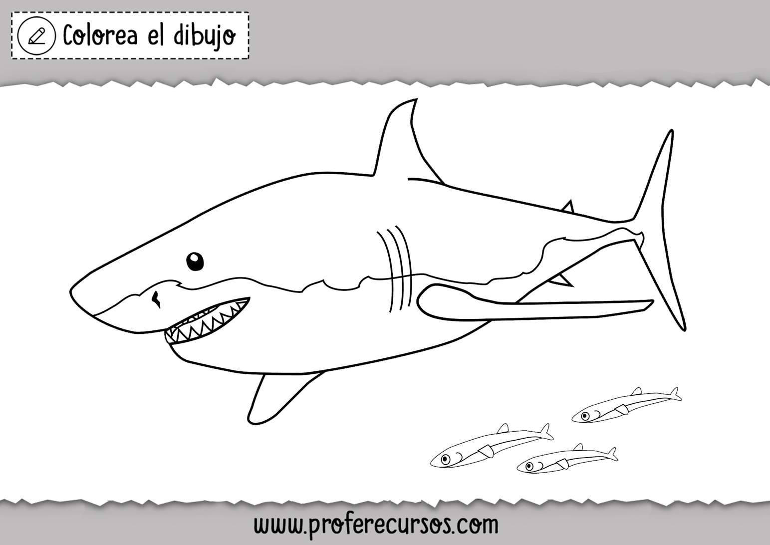 Dibujos de Tiburones para colorear