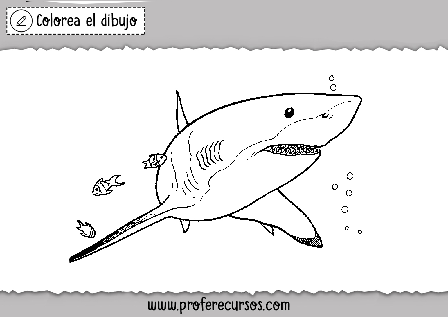 Dibujos de Tiburones