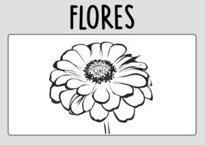 Dibujos de Flores para Colorear