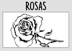 Dibujos de Rosas para Colorear