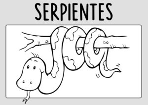 Dibus de serpientes