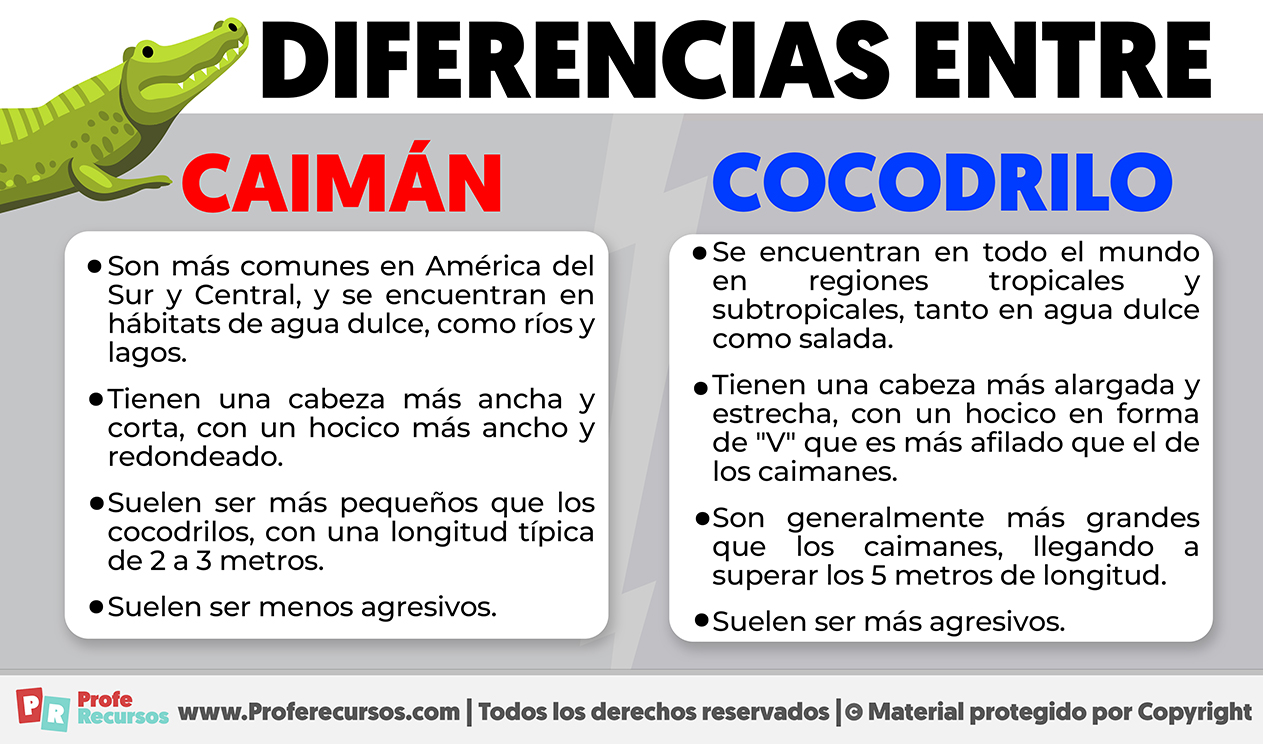 Diferencias entre caiman y cocodrilo