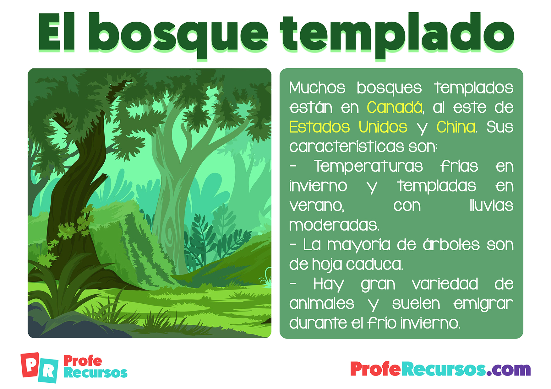 Ecosistema Bosque Templado