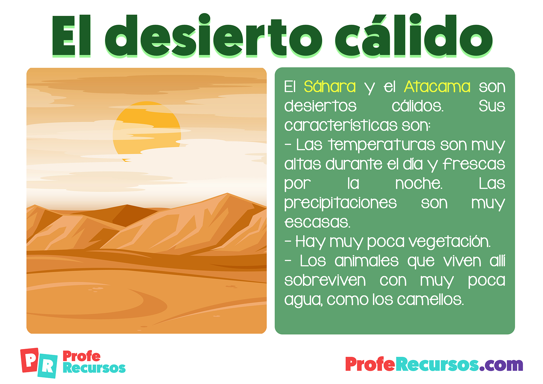 Ecosistema desierto calido