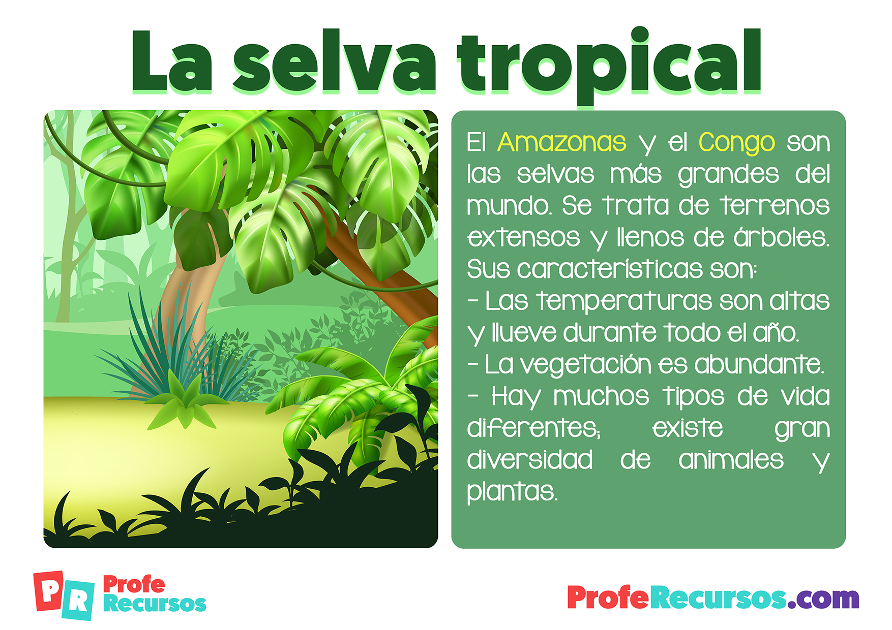 Ecosistema la selva tropical