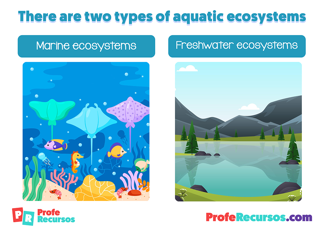 Ecosistemas acuaticos en ingles